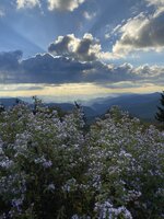 blueridgeparkway1.jpg